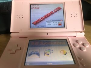 Nintendo DSI